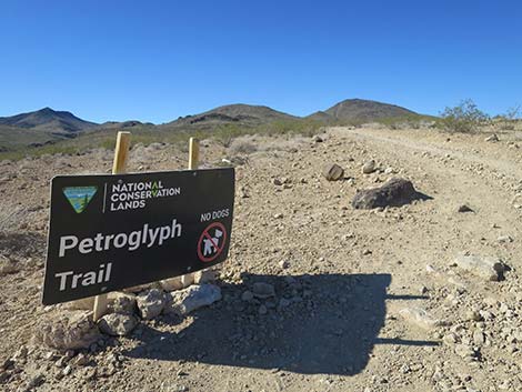 Petroglyph Canyon Trail