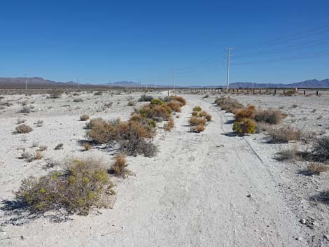 Aliente Loop Trail