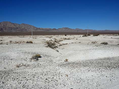 Aliente Loop Trail