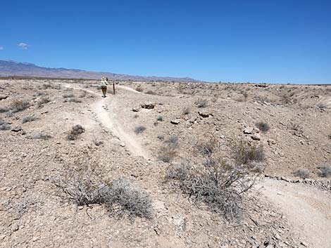 Durango Temporary Loop Trail -- Long