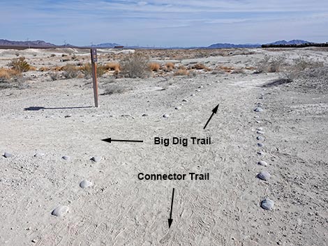 Big Dig Trail