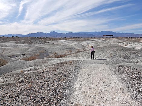 Big Dig Trail