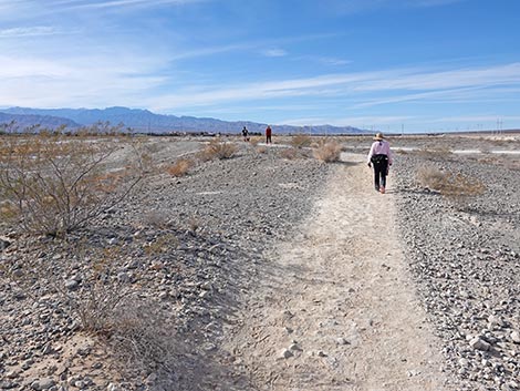 Big Dig Trail