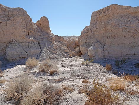 Big Dig Trail