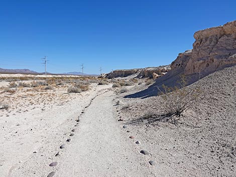 Big Dig Trail