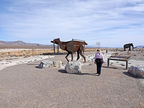 Megafauna Trail