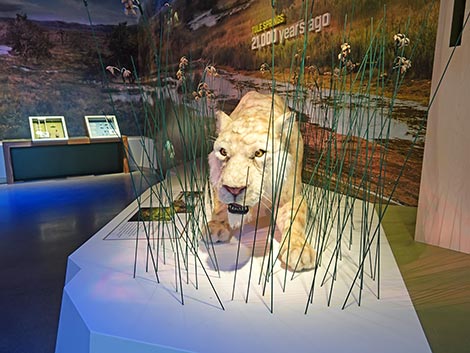 Ice Age Fossils State Park Visitor Center