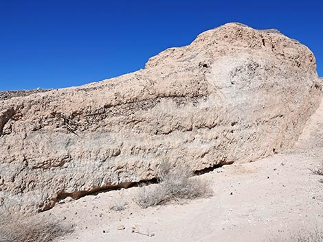 Las Vegas Wash Trail