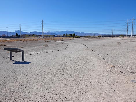 Las Vegas Wash Trail