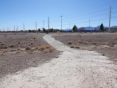 Las Vegas Wash Trail