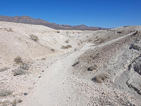 Las Vegas Wash Trail