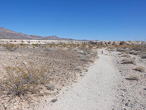 Las Vegas Wash Trail