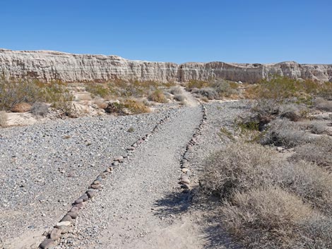 Las Vegas Wash Trail