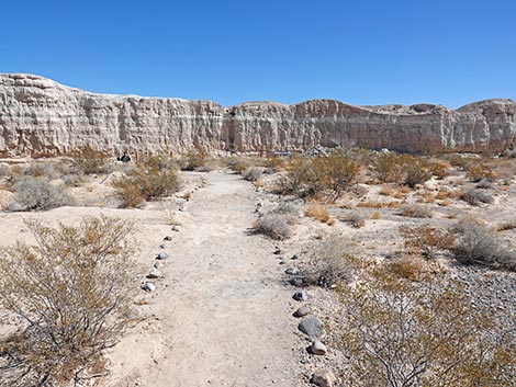 Las Vegas Wash Trail