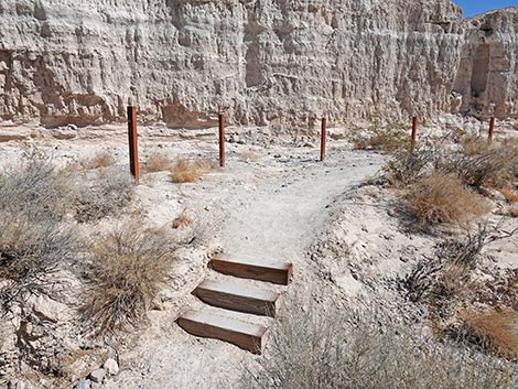 Las Vegas Wash Trail