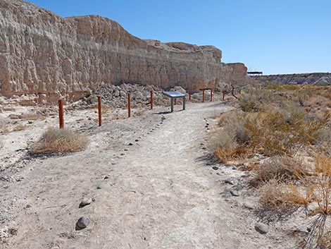 Las Vegas Wash Trail