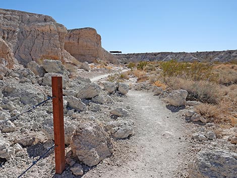 Las Vegas Wash Trail