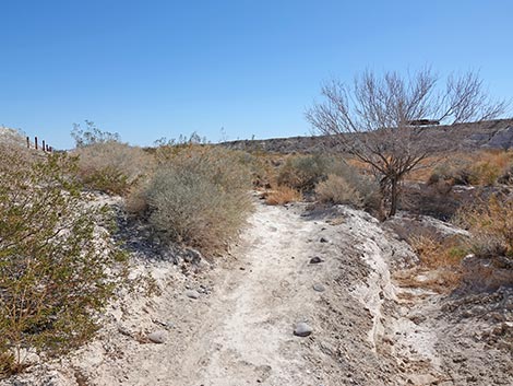 Las Vegas Wash Trail