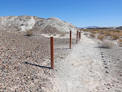 Las Vegas Wash Trail