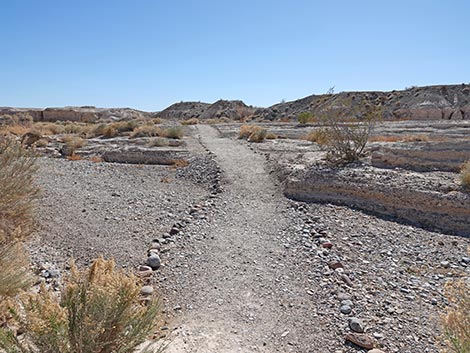 Las Vegas Wash Trail