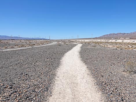 Las Vegas Wash Trail