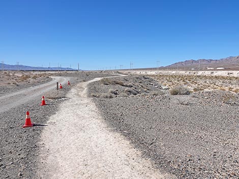 Las Vegas Wash Trail