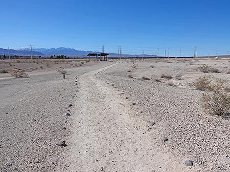 Las Vegas Wash Trail