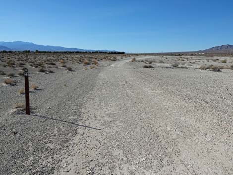 Aliente Loop Trail