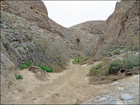 Arrow Canyon