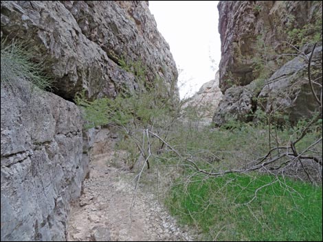 Arrow Canyon