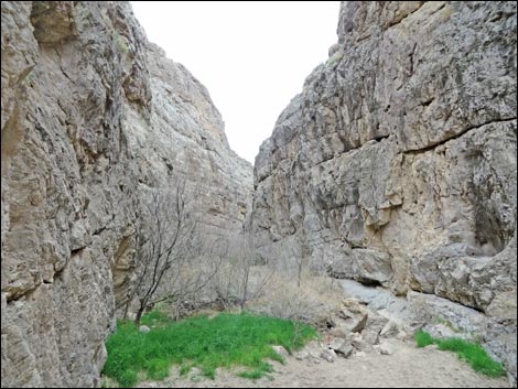 Arrow Canyon