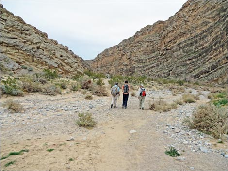 Arrow Canyon