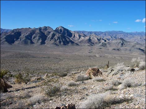 Big Arrow Peak