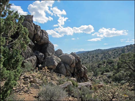 Wee Thump Overlook