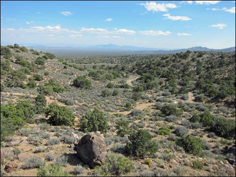 Wee Thump Overlook