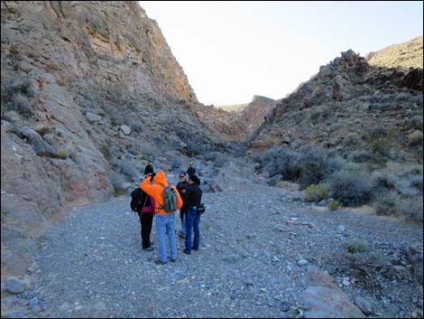 Colorock Canyon Loop