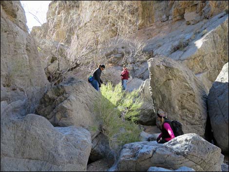 Colorock Canyon Loop