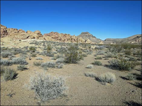 Colorock Canyon Loop