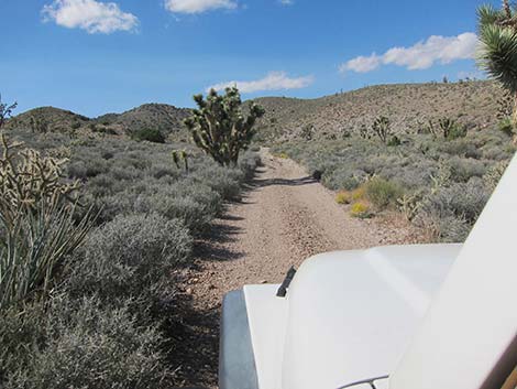 Pine Spring Road, South Fork