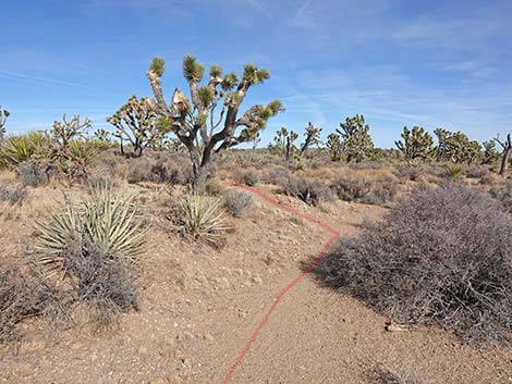 Spirit of Wilderness Trail