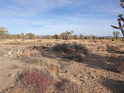 El Dorado Wagon Road Trail