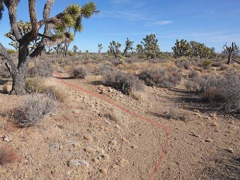 Spirit of Wilderness Trail