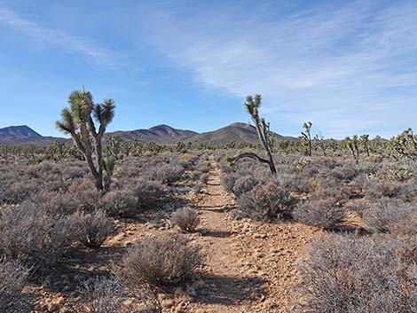 El Dorado Wagon Road Trail