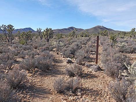 El Dorado Wagon Road Trail