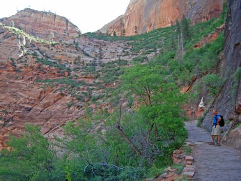 Observation Point Trail