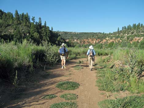 Orderville Canyon