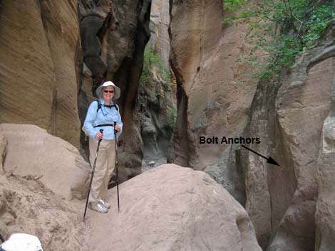 Orderville Canyon