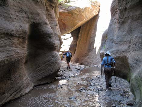 Orderville Canyon