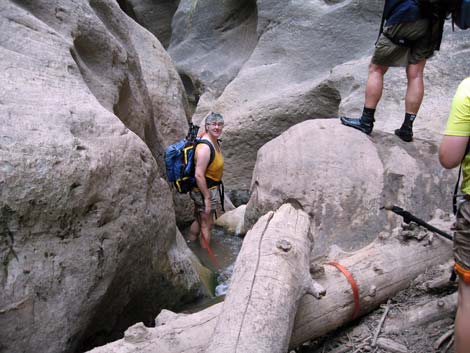 Orderville Canyon