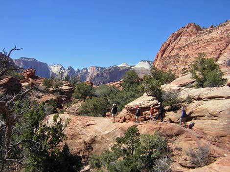 Canyon Overlook Trail